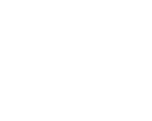 Nørre Gymnasium logo